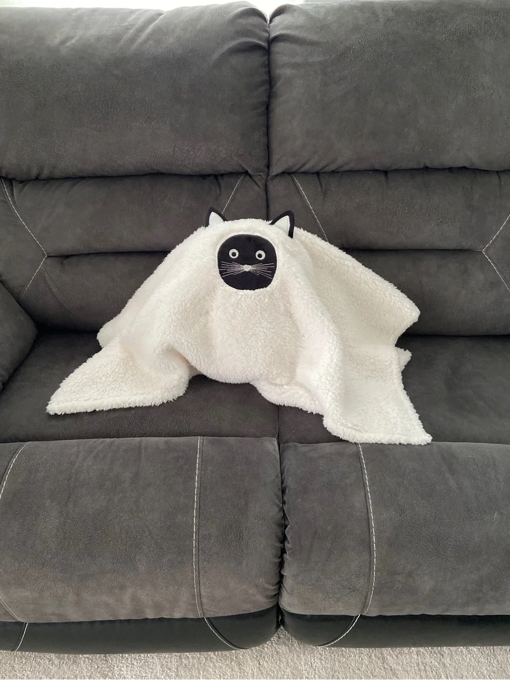 Scaredy Cat Pillow Pottery Barn NWT